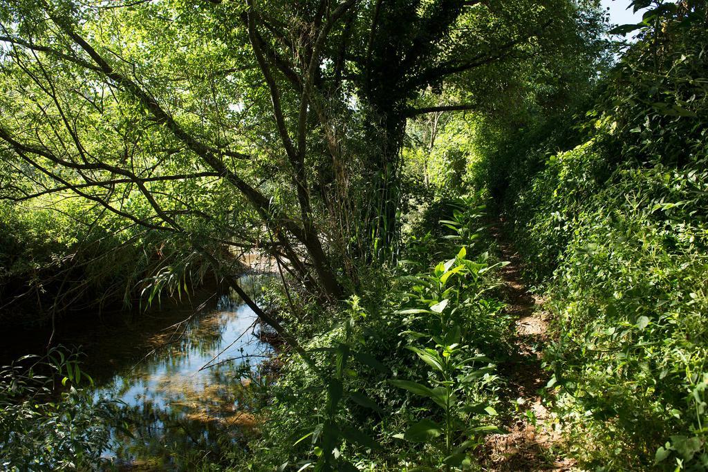 Recanto Da Ribeira Casas De Campo Monchique Exteriér fotografie