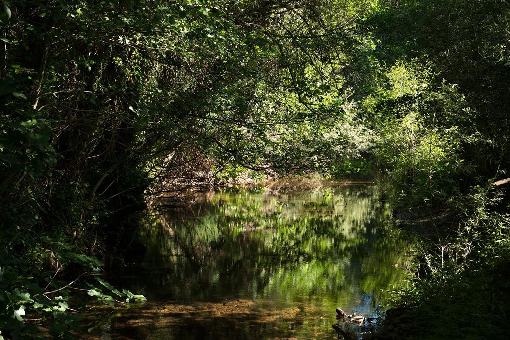 Recanto Da Ribeira Casas De Campo Monchique Exteriér fotografie